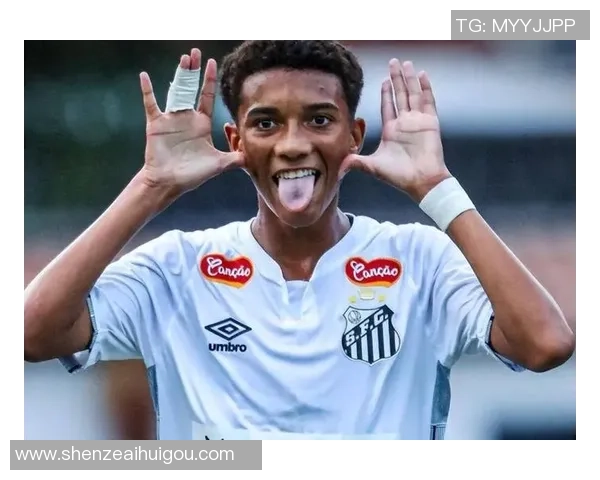 《踢向梦想的传承 足球传奇球星之子如何超越父亲的辉煌》 《踢向梦想的传承 足球传奇球星之子如何超越父亲的辉煌》